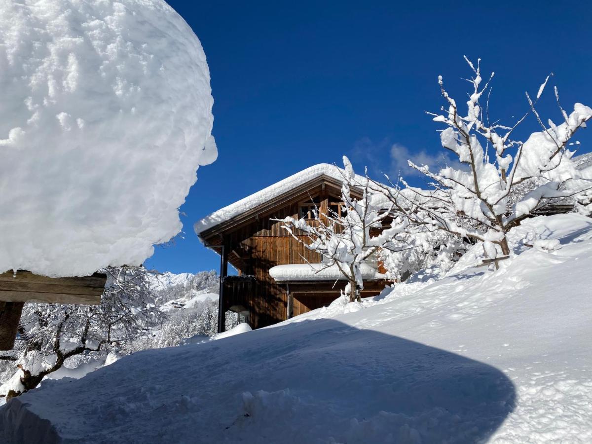 Chalet Christl Panorama Appartements Schruns Екстериор снимка