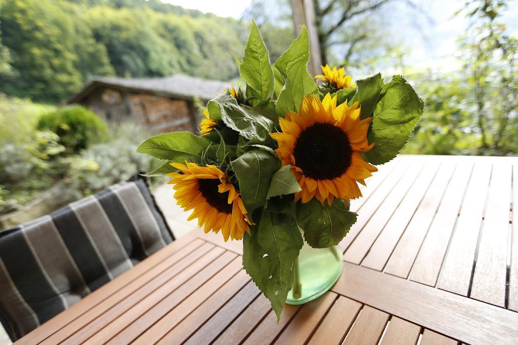 Chalet Christl Panorama Appartements Schruns Екстериор снимка